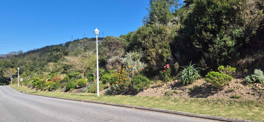0 Bedroom Property for Sale in Green Pastures Western Cape
